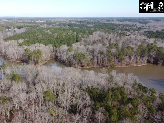 Rhinehart Road, Batesburg, South Carolina image 46