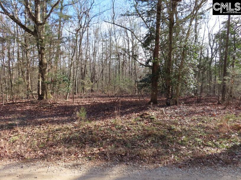 Rhinehart Road, Batesburg, South Carolina image 47