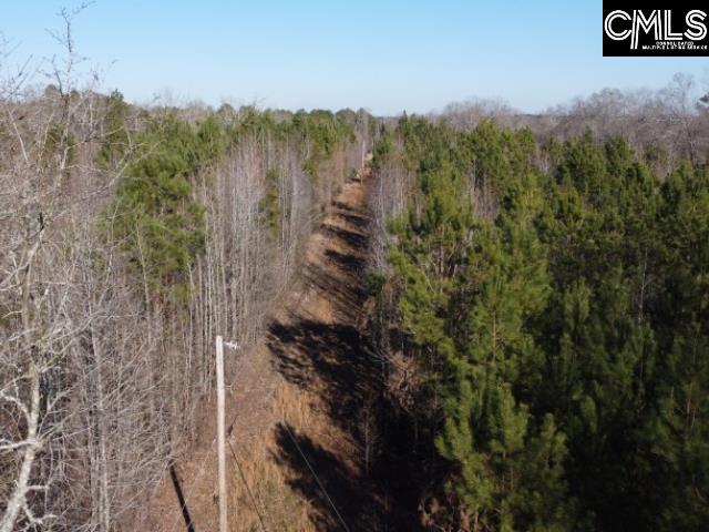 Rhinehart Road, Batesburg, South Carolina image 48