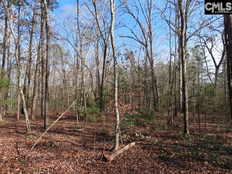 Rhinehart Road, Batesburg, South Carolina image 50