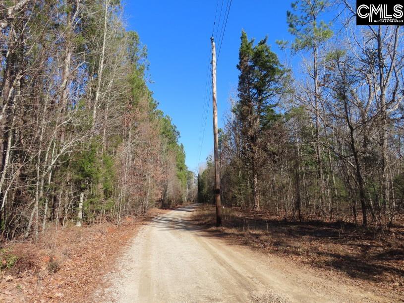 Rhinehart Road, Batesburg, South Carolina image 7
