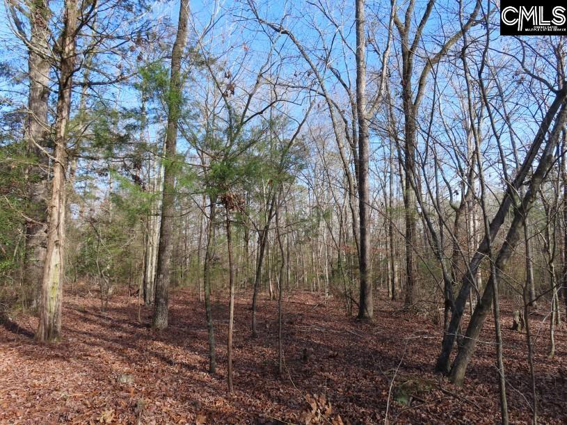 Rhinehart Road, Batesburg, South Carolina image 9