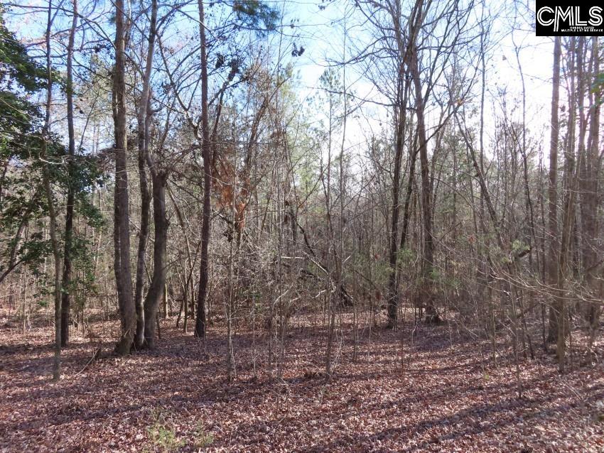 Rhinehart Road, Batesburg, South Carolina image 2