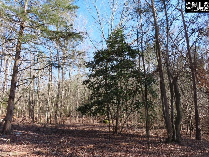 Rhinehart Road, Batesburg, South Carolina image 12