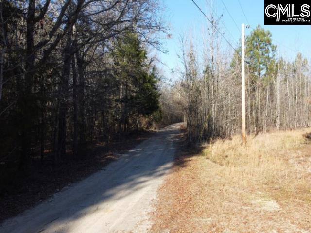 Rhinehart Road, Batesburg, South Carolina image 13