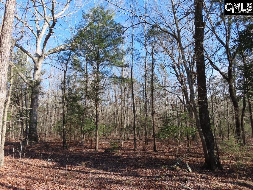 Rhinehart Road, Batesburg, South Carolina image 15