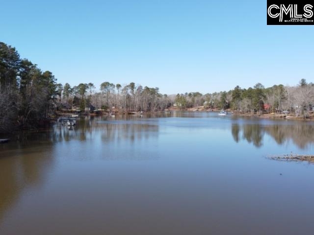 Rhinehart Road, Batesburg, South Carolina image 17
