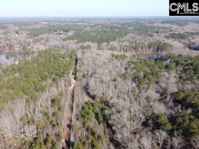 Rhinehart Road, Batesburg, South Carolina image 18
