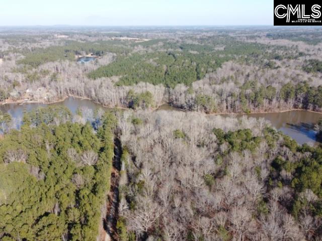Rhinehart Road, Batesburg, South Carolina image 20