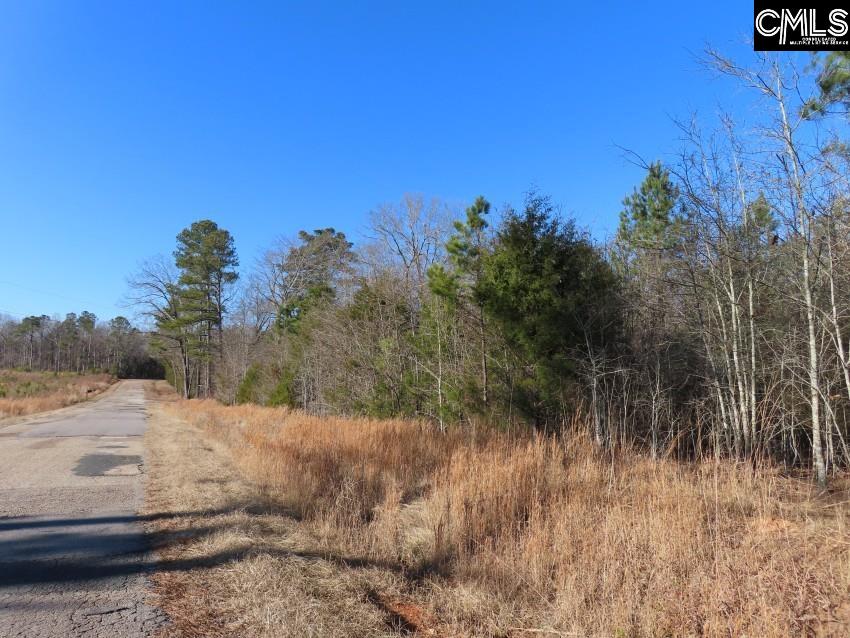 Rhinehart Road, Batesburg, South Carolina image 3