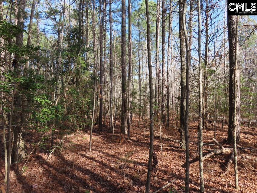Rhinehart Road, Batesburg, South Carolina image 23