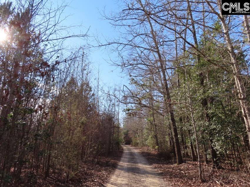 Rhinehart Road, Batesburg, South Carolina image 24