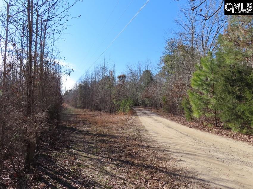 Rhinehart Road, Batesburg, South Carolina image 27