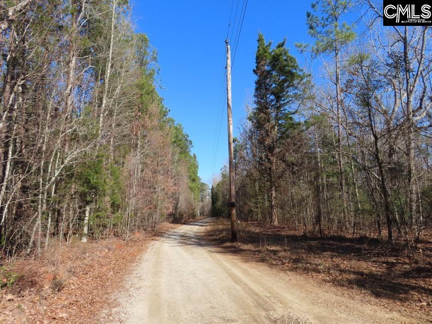 Rhinehart Road, Batesburg, South Carolina image 33
