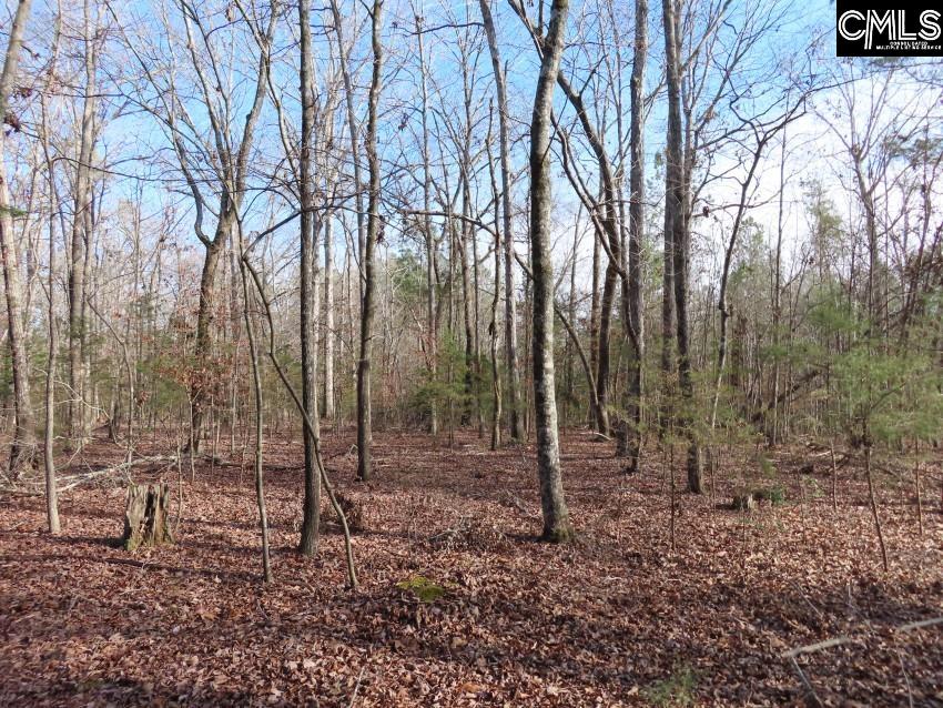 Rhinehart Road, Batesburg, South Carolina image 35