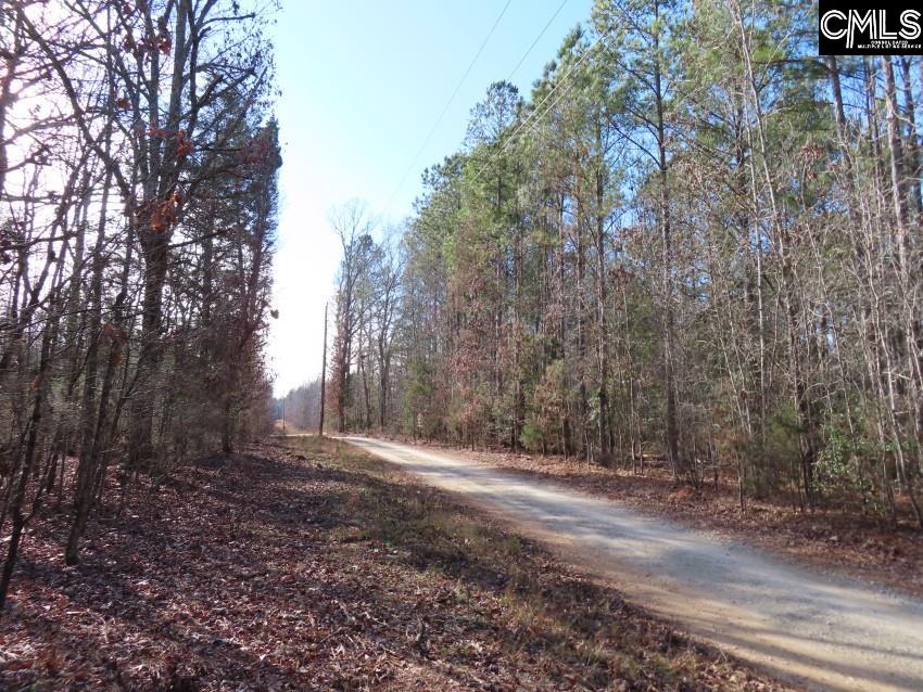 Rhinehart Road, Batesburg, South Carolina image 36