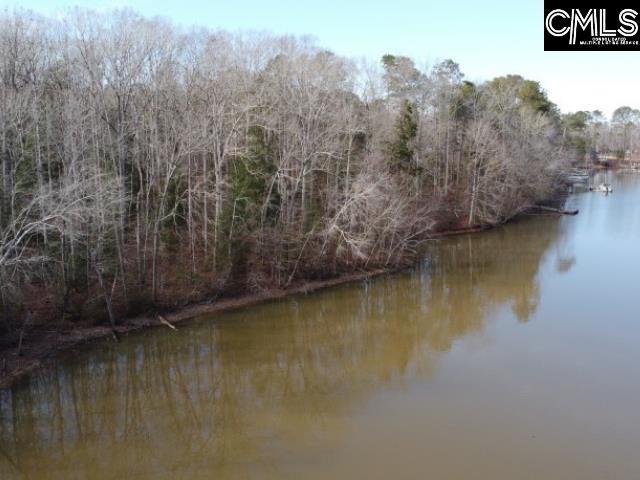 Rhinehart Road, Batesburg, South Carolina image 37