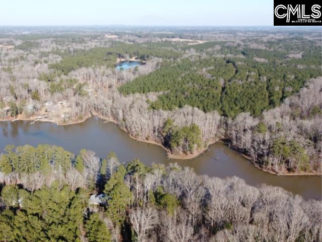 Rhinehart Road, Batesburg, South Carolina image 40