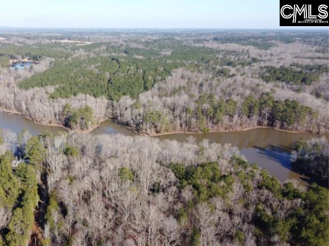 Rhinehart Road, Batesburg, South Carolina image 43