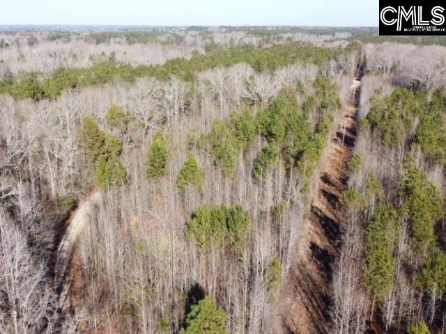 Rhinehart Road, Batesburg, South Carolina image 44