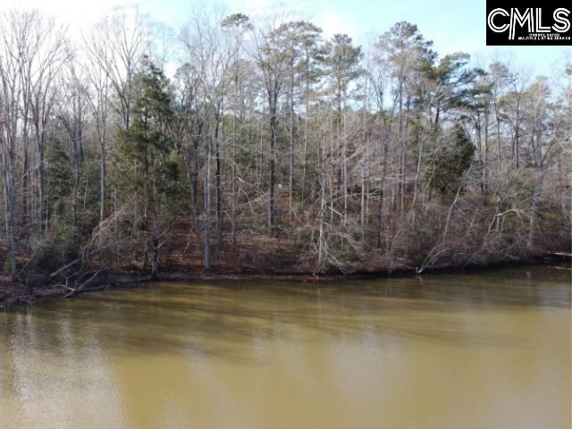 Rhinehart Road, Batesburg, South Carolina image 45
