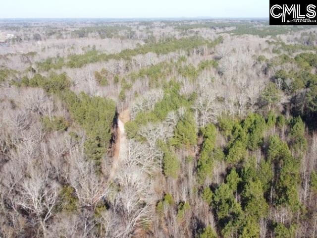 Rhinehart Road, Batesburg, South Carolina image 48