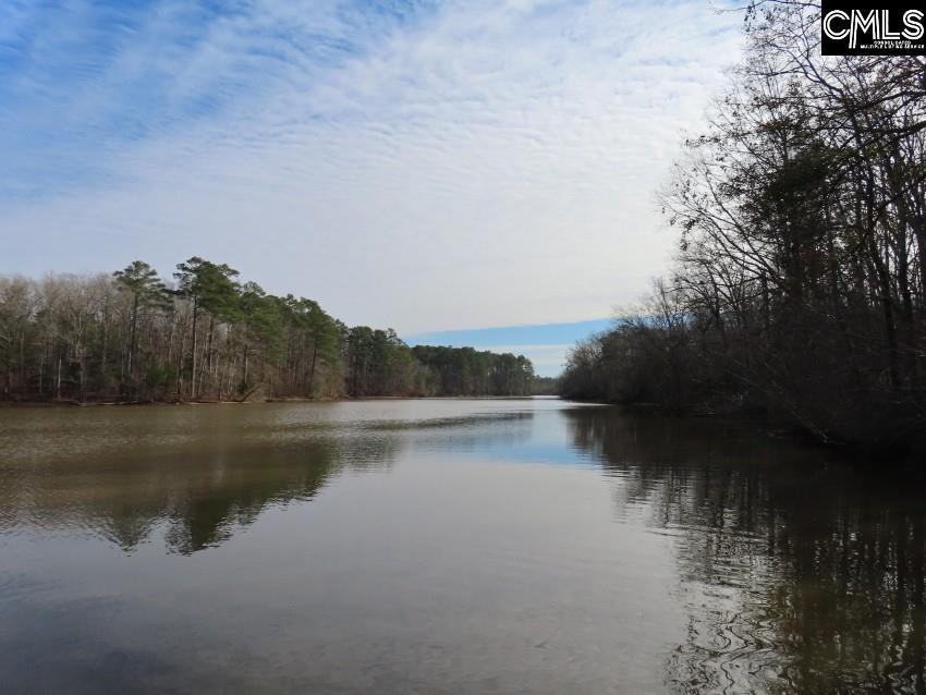 Rhinehart Road, Batesburg, South Carolina image 49