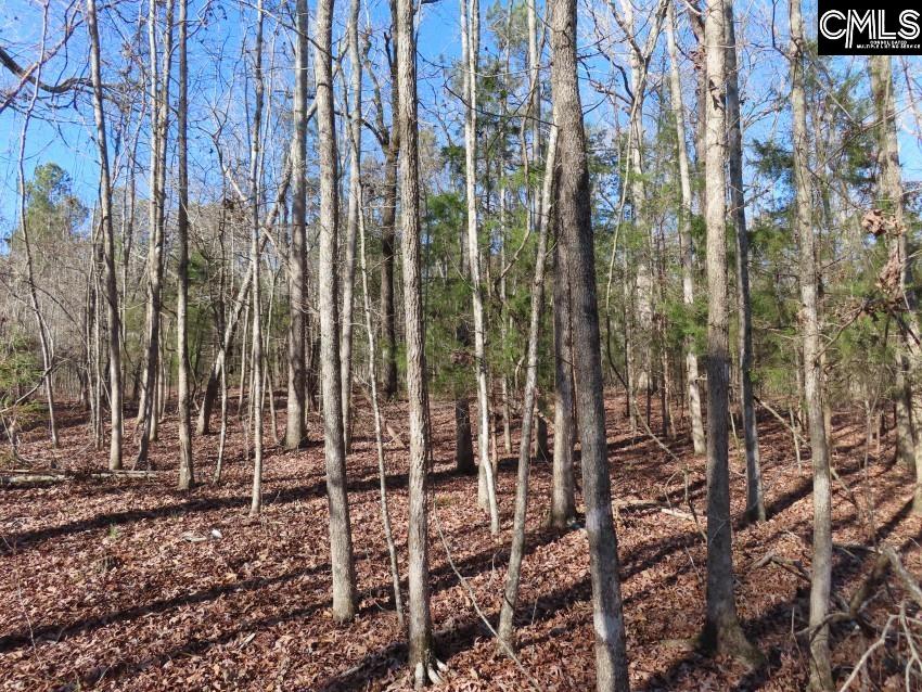 Rhinehart Road, Batesburg, South Carolina image 6