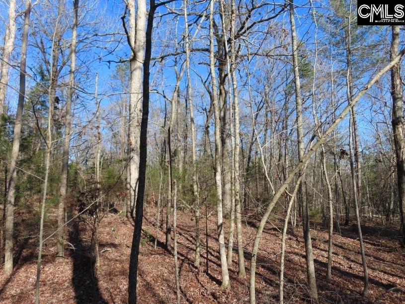Rhinehart Road, Batesburg, South Carolina image 13