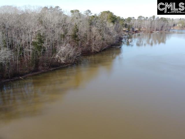 Rhinehart Road, Batesburg, South Carolina image 15