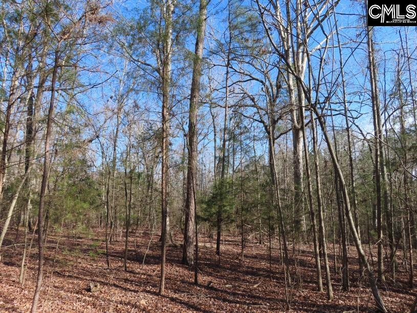 Rhinehart Road, Batesburg, South Carolina image 16