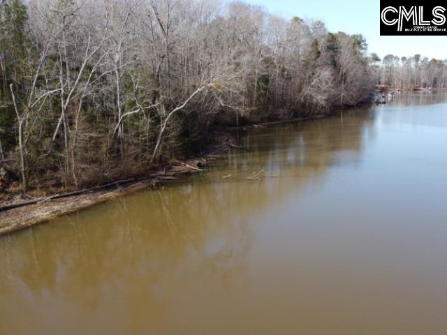 Rhinehart Road, Batesburg, South Carolina image 18
