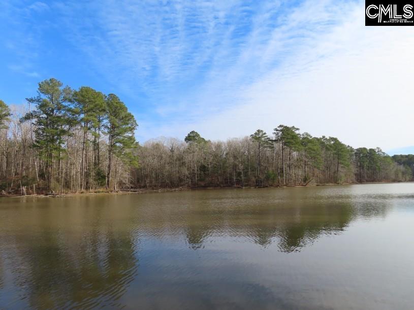 Rhinehart Road, Batesburg, South Carolina image 3