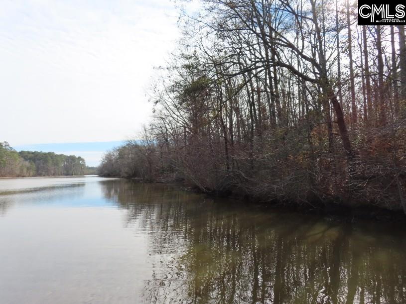 Rhinehart Road, Batesburg, South Carolina image 21