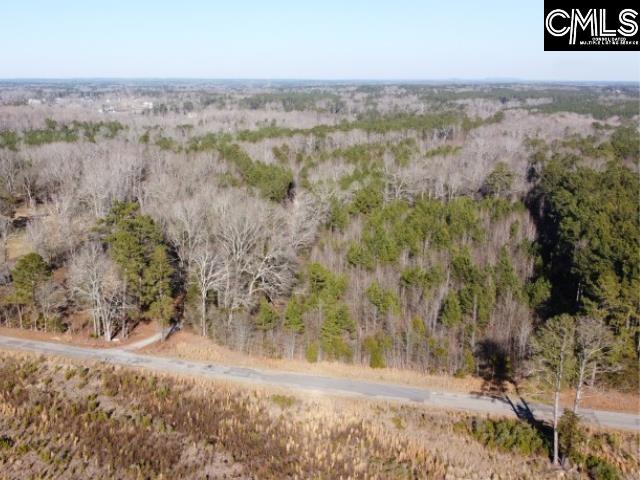 Rhinehart Road, Batesburg, South Carolina image 23