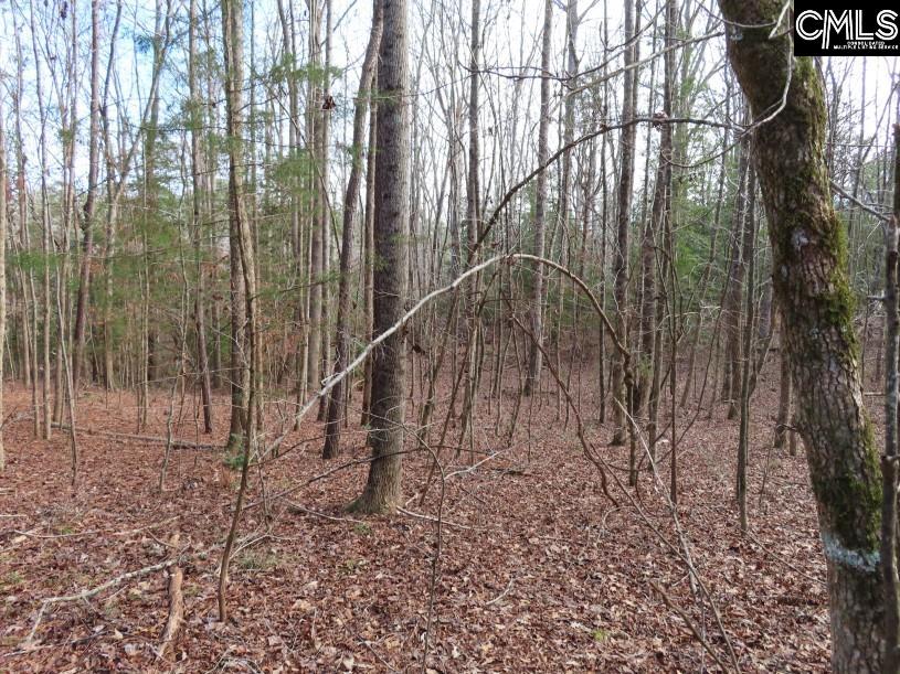 Rhinehart Road, Batesburg, South Carolina image 25
