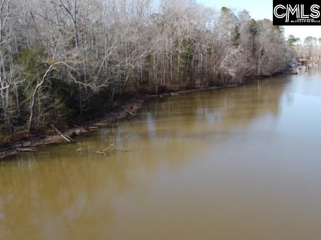 Rhinehart Road, Batesburg, South Carolina image 27