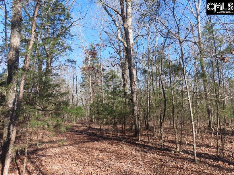 Rhinehart Road, Batesburg, South Carolina image 28