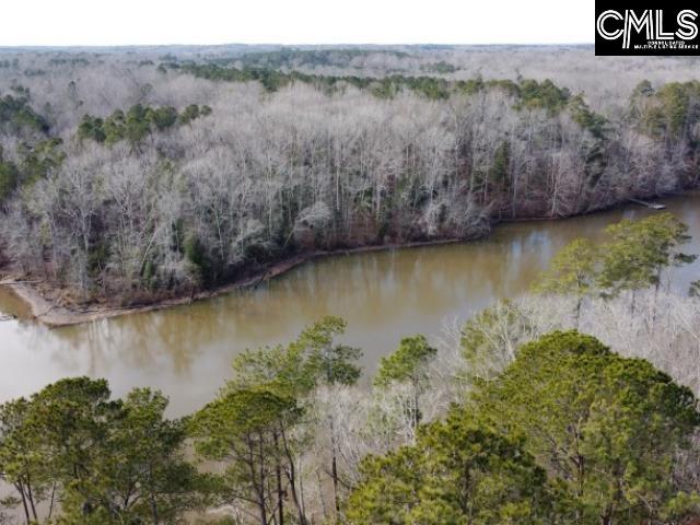 Rhinehart Road, Batesburg, South Carolina image 29