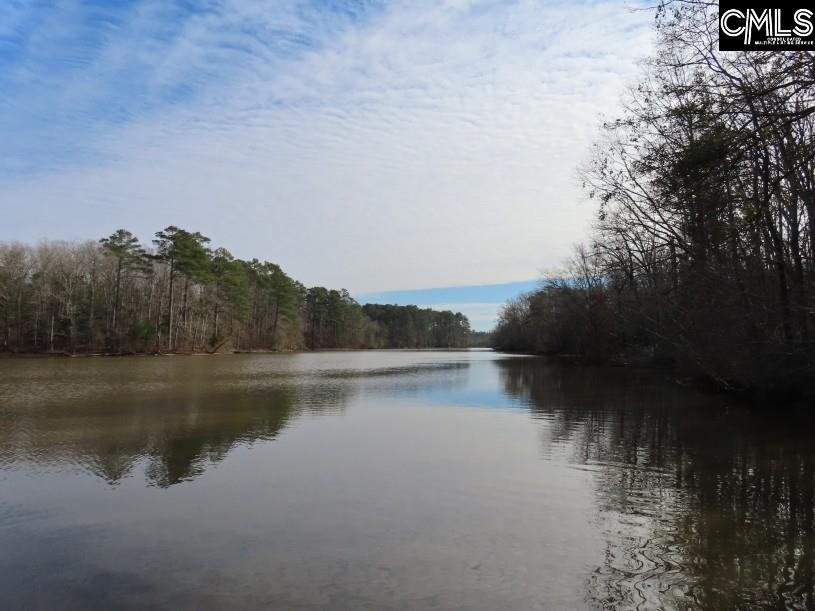 Rhinehart Road, Batesburg, South Carolina image 30