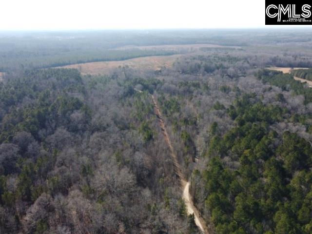 Rhinehart Road, Batesburg, South Carolina image 32