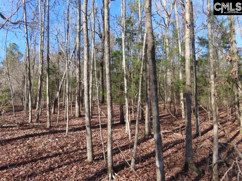 Rhinehart Road, Batesburg, South Carolina image 34