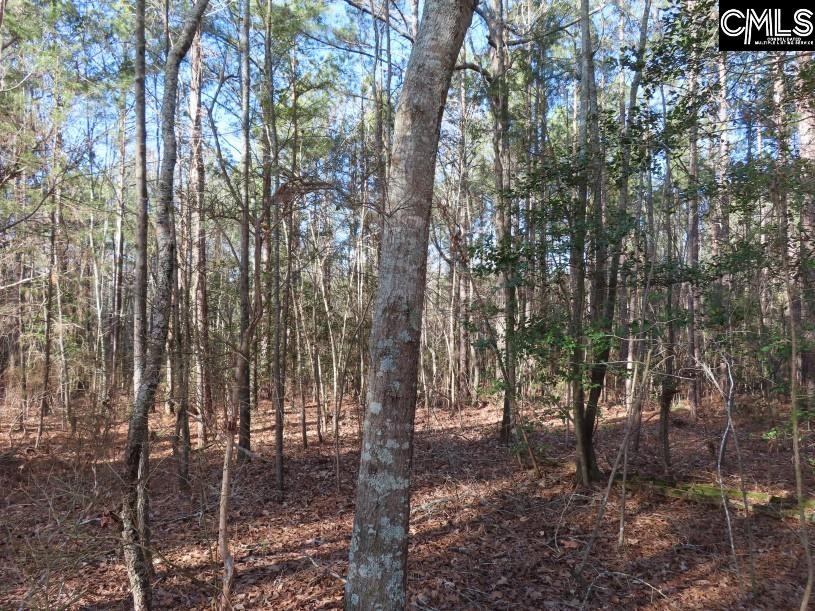Rhinehart Road, Batesburg, South Carolina image 37