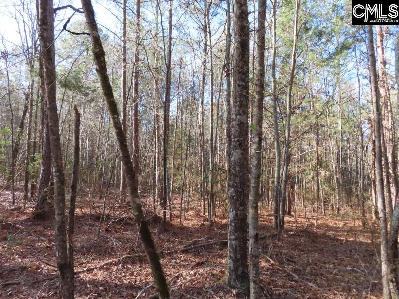 Rhinehart Road, Batesburg, South Carolina image 40