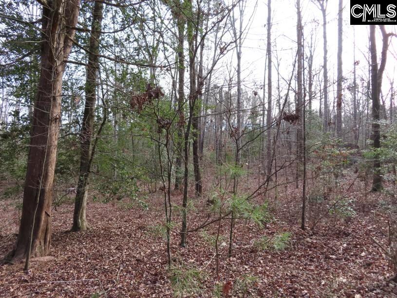 Rhinehart Road, Batesburg, South Carolina image 43