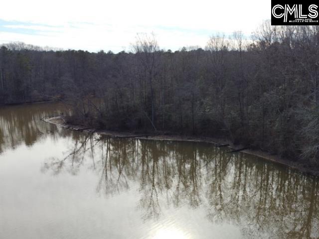 Rhinehart Road, Batesburg, South Carolina image 44