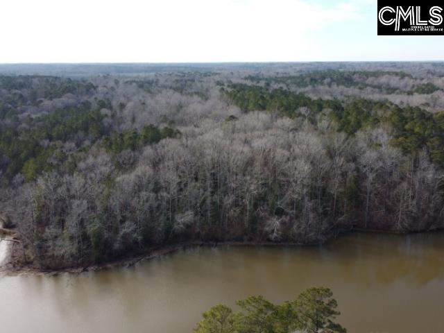 Rhinehart Road, Batesburg, South Carolina image 45