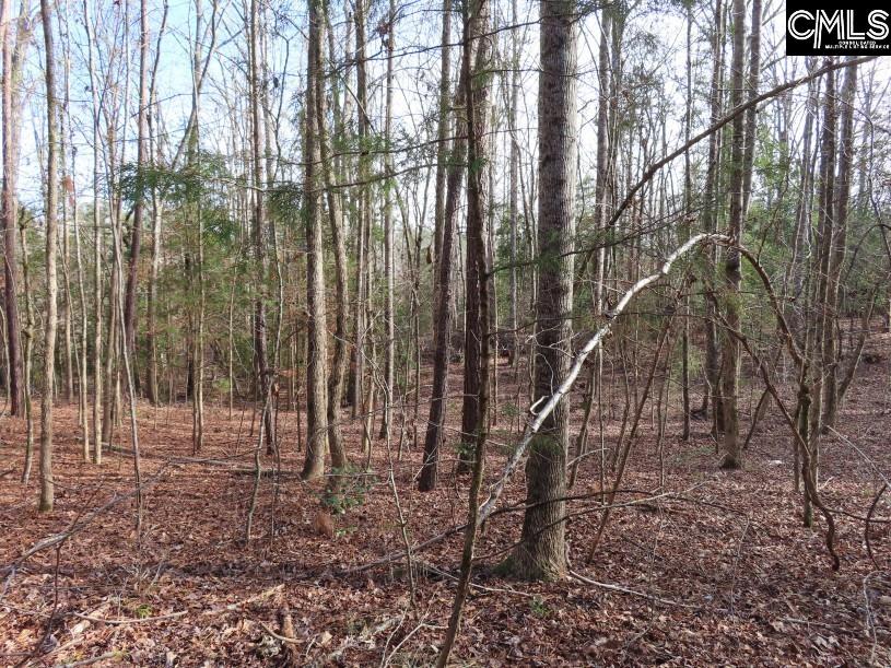 Rhinehart Road, Batesburg, South Carolina image 46