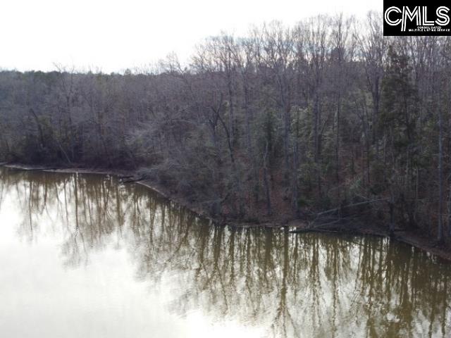 Rhinehart Road, Batesburg, South Carolina image 47