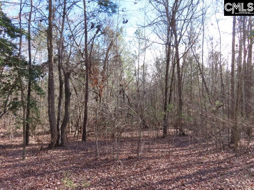 Rhinehart Road Batesburg, SC 29006